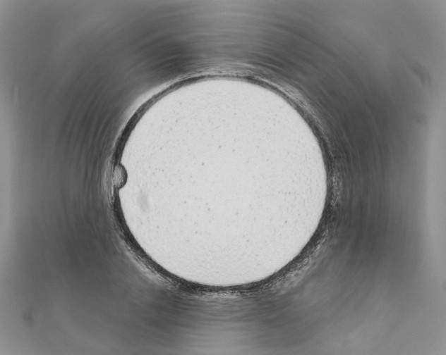 X0000110880838200907301432