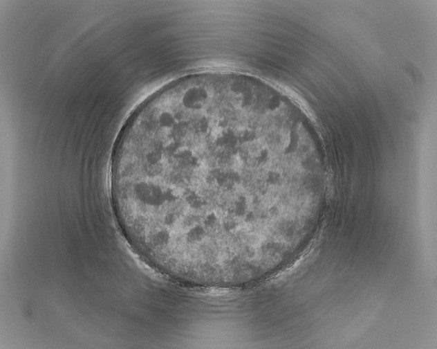 X0000110880839200907301432