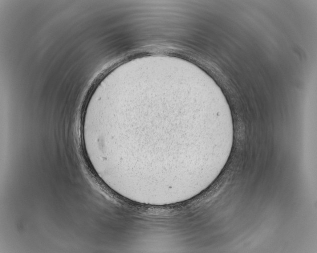 X0000110880840200907301432