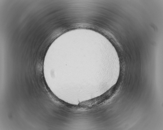 X0000110880841200907301432