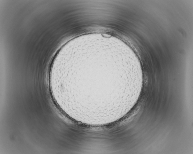 X0000110880843200907301432