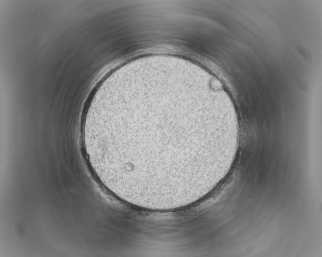 X0000110880845200907301432