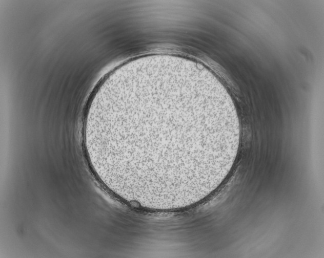 X0000110880846200907301432