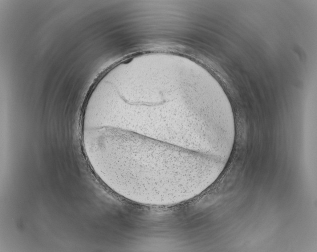 X0000110880848200907301432