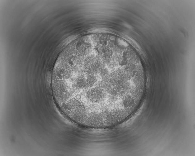 X0000110880849200907301432