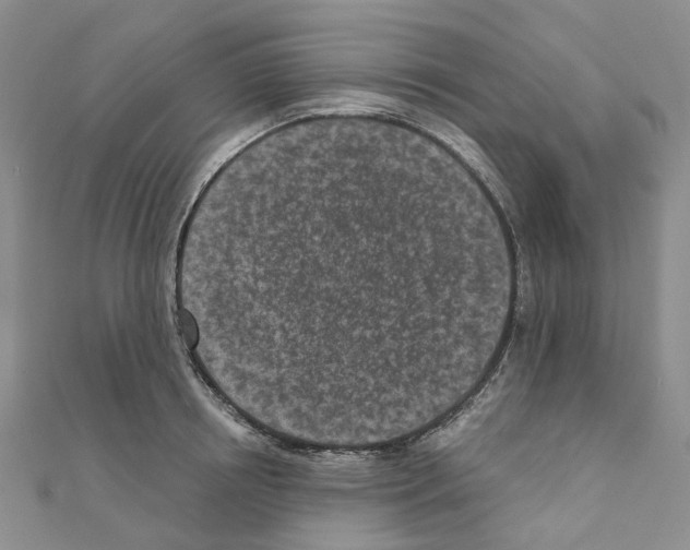 X0000110880850200907301432