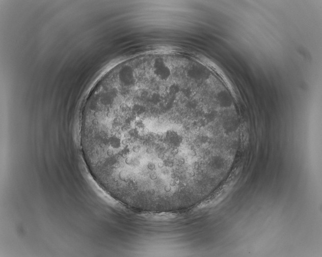 X0000110880851200907301432