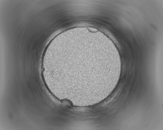 X0000110880853200907301432