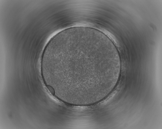 X0000110880854200907301432