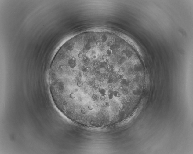 X0000110880855200907301432