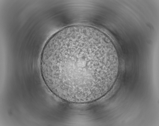 X0000110880856200907301432