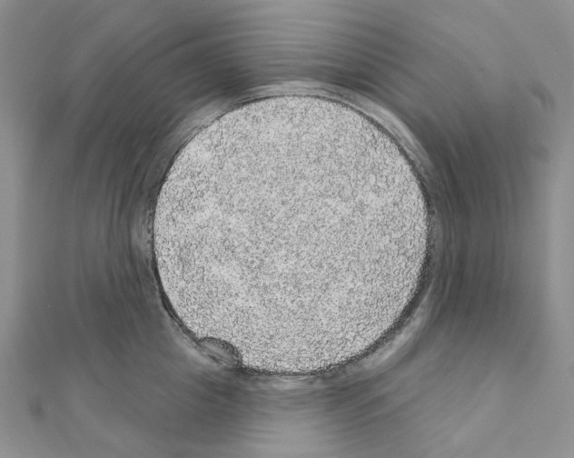 X0000110880857200907301432