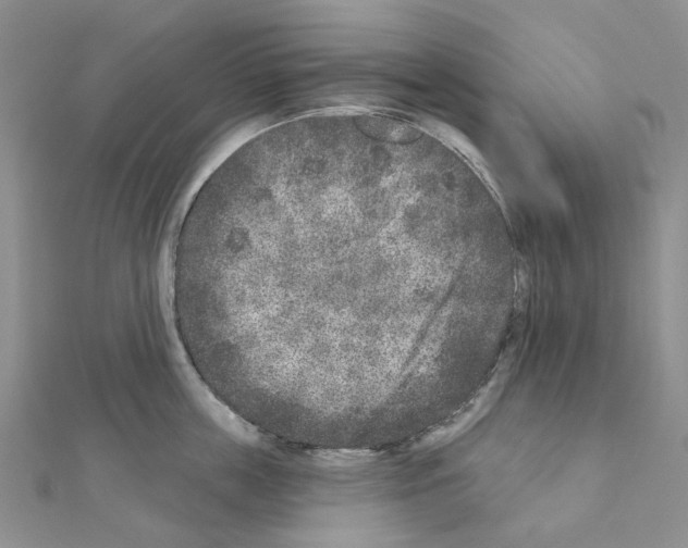 X0000110880859200907301432