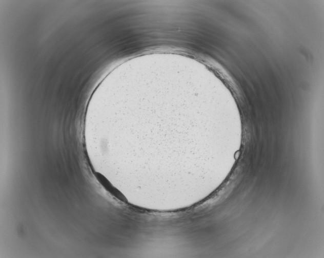 X0000110880860200907301432