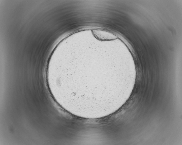 X0000110880861200907301432