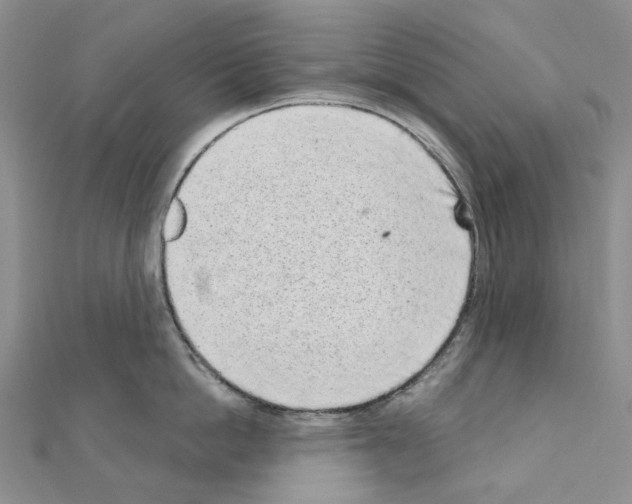 X0000110880862200907301432