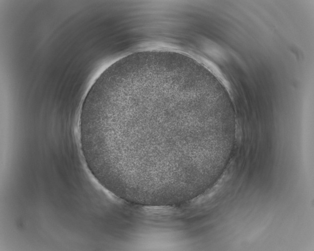 X0000110880863200907301432