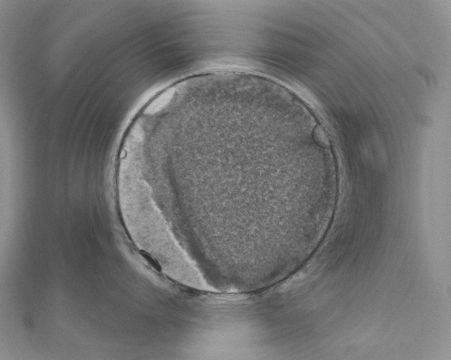 X0000110880864200907301432