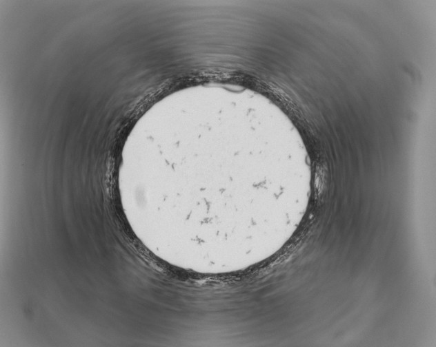 X0000110880867200907301432