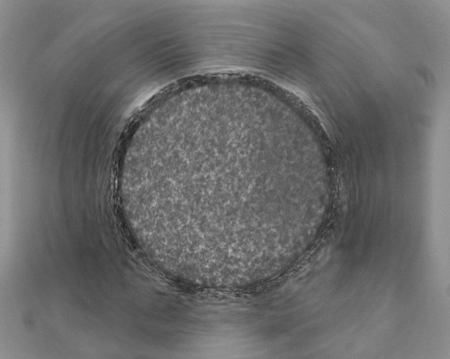 X0000110880871200907301432