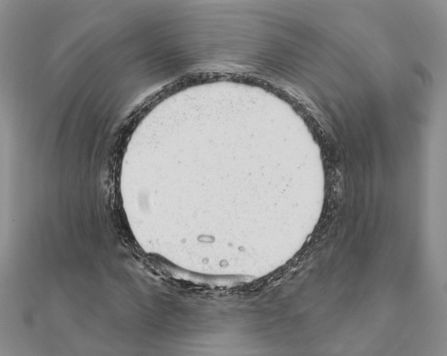 X0000110880872200907301432