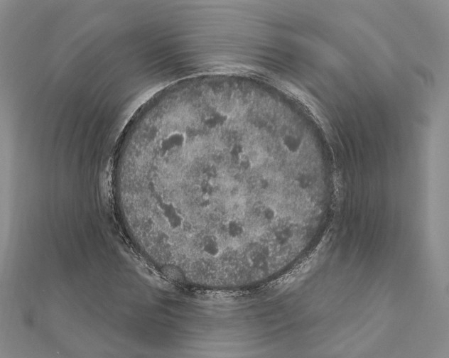 X0000110880875200907301432