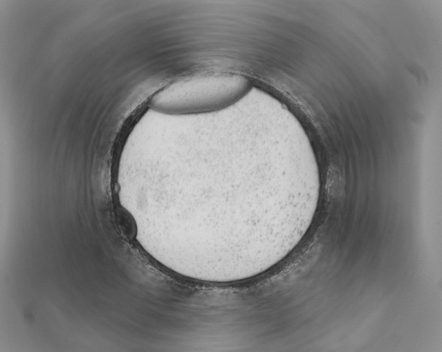 X0000110880877200907301431