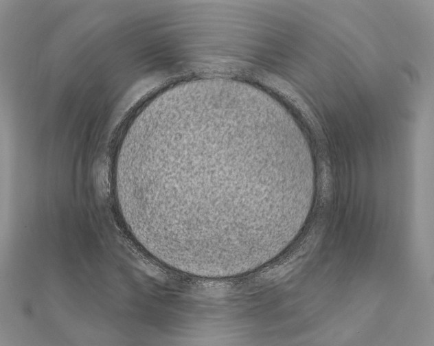 X0000110880878200907301431