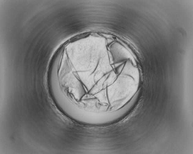 X0000110880880200907301431