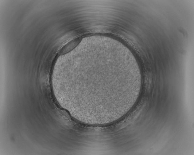 X0000110880881200907301431