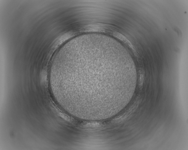 X0000110880882200907301431