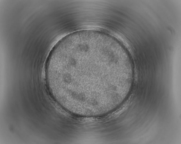 X0000110880883200907301431