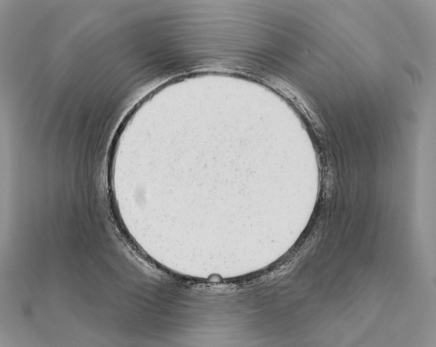 X0000110880884200907301431