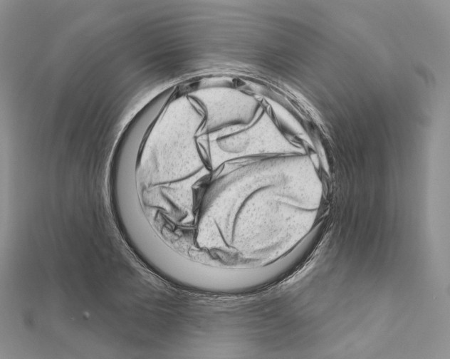 X0000110880885200907301431