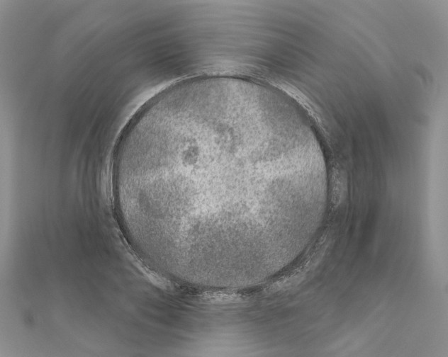 X0000110880886200907301431