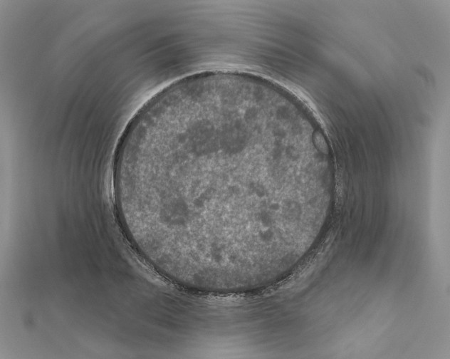 X0000110880887200907301431