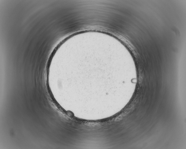 X0000110880888200907301431