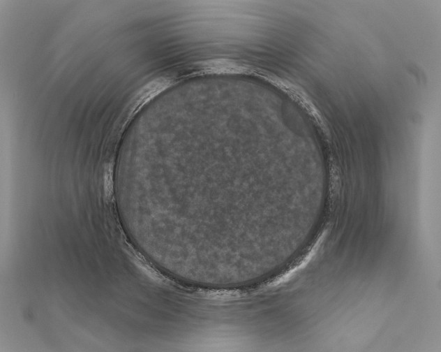 X0000110880889200907301431