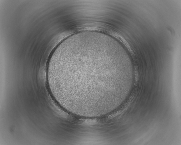 X0000110880890200907301431