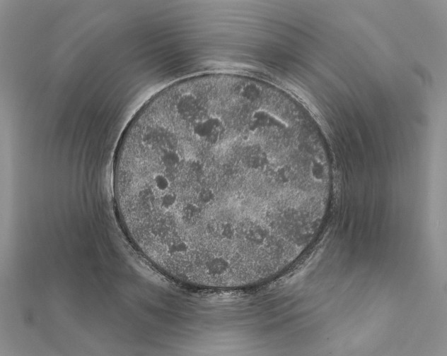 X0000110880891200907301431