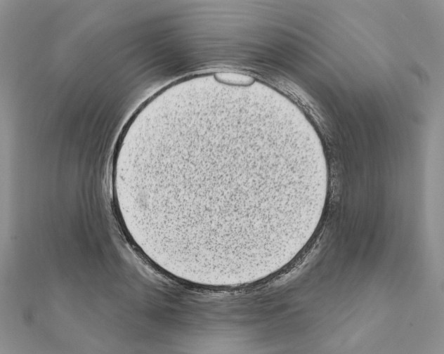 X0000110880892200907301431