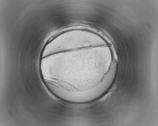 X0000110880893200907301431