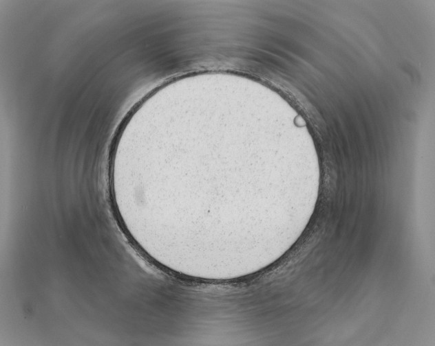 X0000110880894200907301431