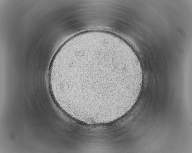 X0000110880895200907301431