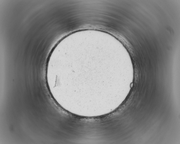 X0000110880896200907301431