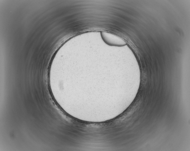 X0000110880898200907301431