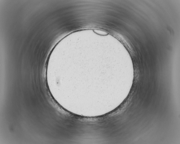 X0000110880900200907301431