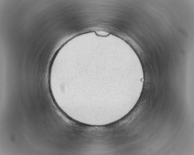 X0000110880902200907301431