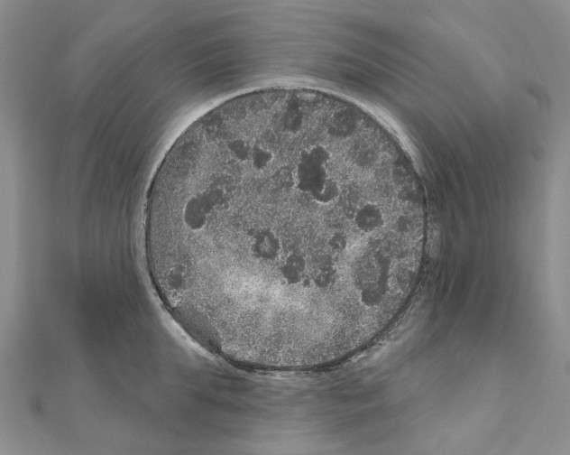 X0000110880903200907301431