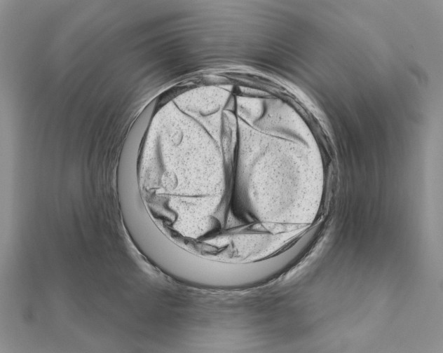 X0000110880905200907301431